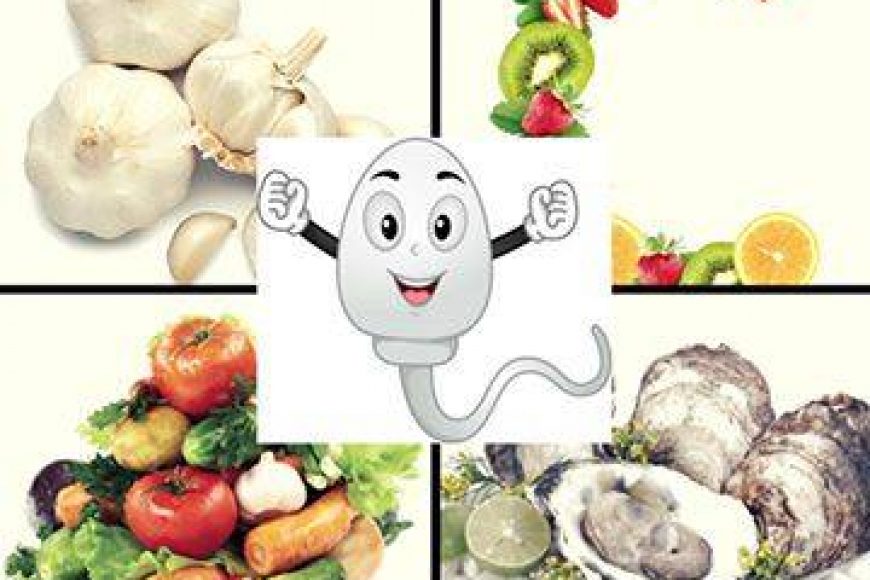 Nam giới nên ăn gì để tốt cho tinh trùng 