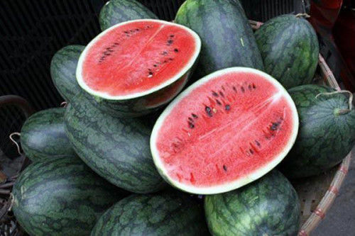Ăn gì để tăng tinh trùng - ăn dưa hấu đỏ nhé