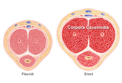 Description: https://dantri.vcmedia.vn/Uploaded/2010/04/15/04-ED-15410.jpg