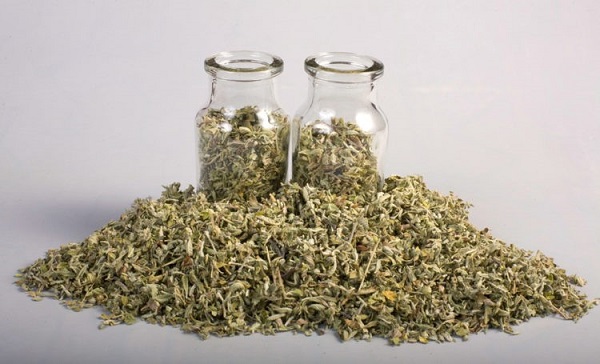 Sử dụng lá damiana pha trà uống để tăng khoái cảm ở nữ giới