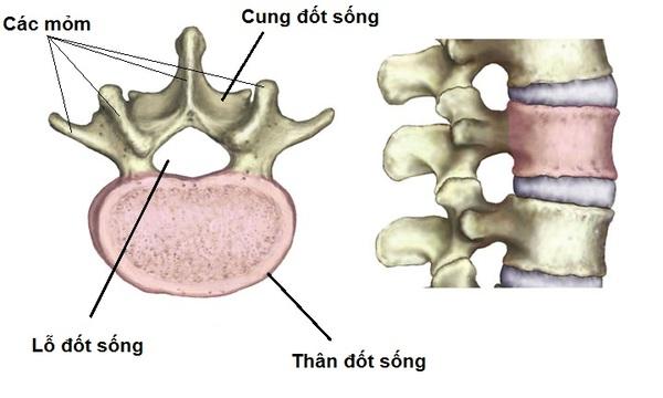 dau-cot-song-that-lung-4