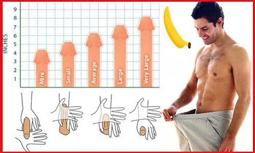 Bản đồ kích cỡ ‘cậu nhỏ’ của quý ông toàn cầu