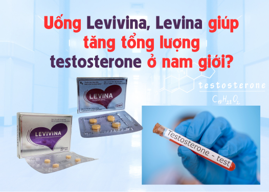 Uống Levina, Levivina có giúp tăng Testosterone ở nam giới?