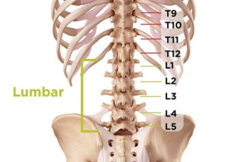Đau cột sống thắt lưng - Dụng cụ giảm đau lưng tốt nhất